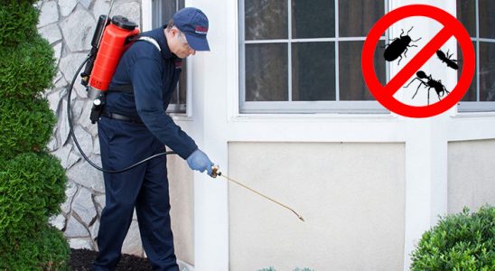 Ardeşen Kemirgen İlaçlama böcek ilaçlama ve haşere kontrolü — ilaclama-tr.com